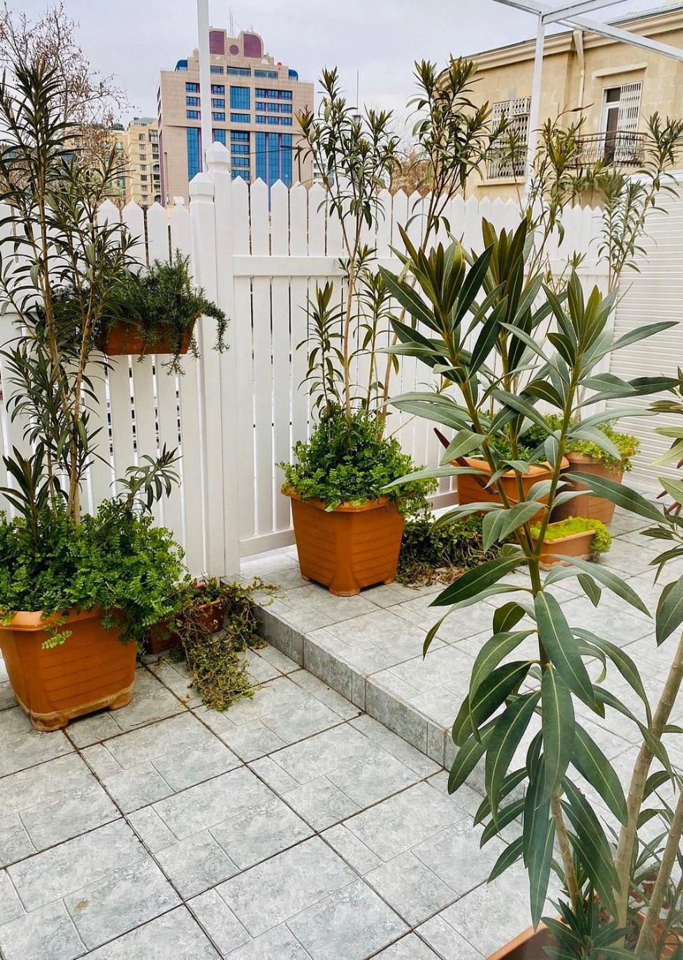 Zimmer Boutique Hotel Baku Exterior photo
